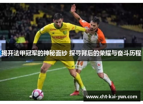 揭开法甲冠军的神秘面纱 探寻背后的荣耀与奋斗历程 揭开法甲冠军的神秘面纱 探寻背后的荣耀与奋斗历程