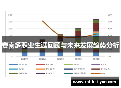 费南多职业生涯回顾与未来发展趋势分析