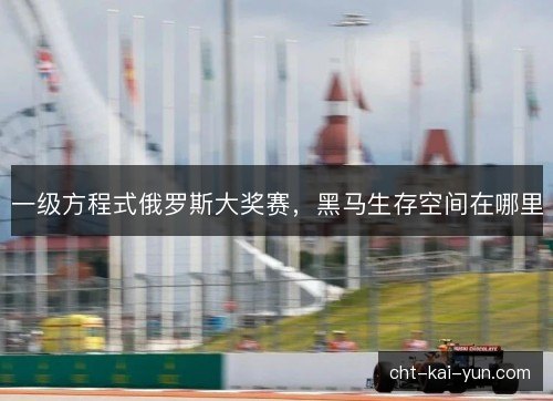 一级方程式俄罗斯大奖赛，黑马生存空间在哪里